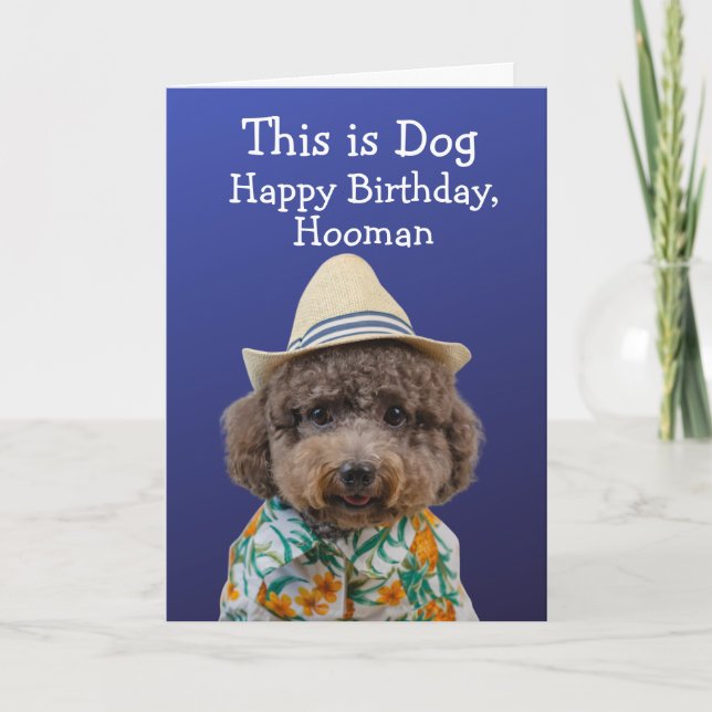 Funny toy poodle birthday card (Front)