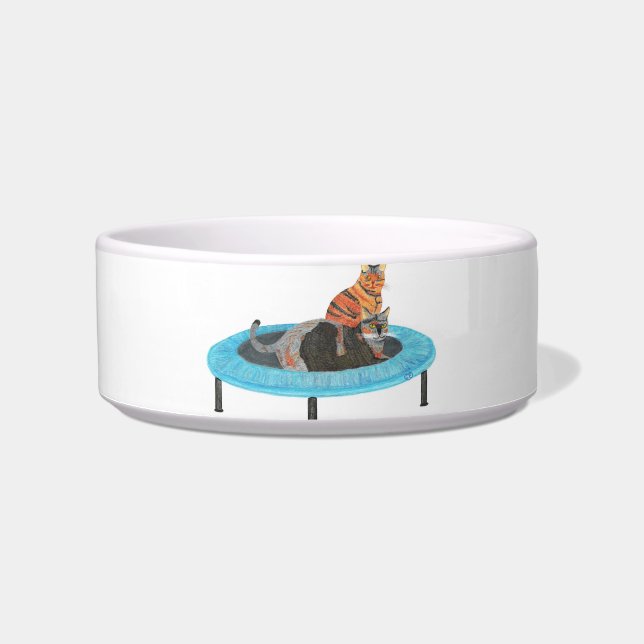 Funny Trampoline Cats Painting, Pet Dish (Front)