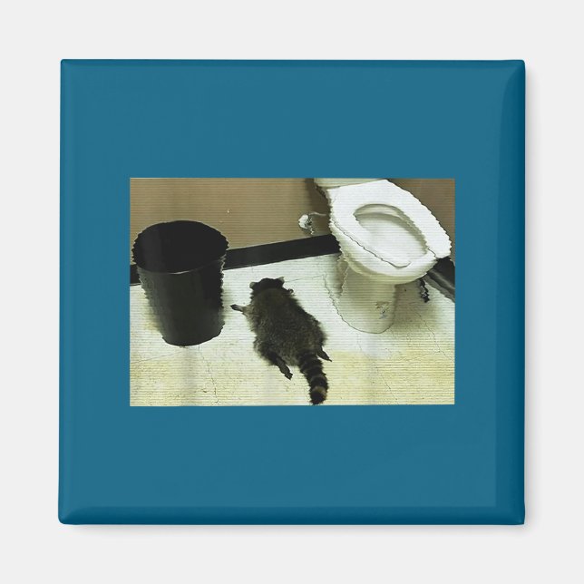 Funny Trashed Panda Drunk Racoon  Magnet (Front)