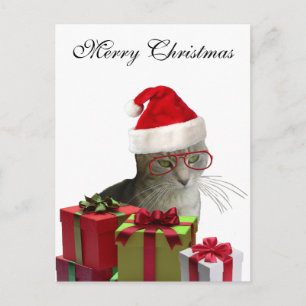 Funny trendy Santa wise cat Christmas Holiday Postcard