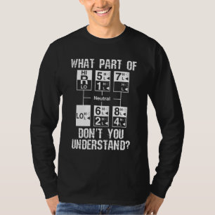 Funny Truck Driver Dont You Understand Gift T-Shirt
