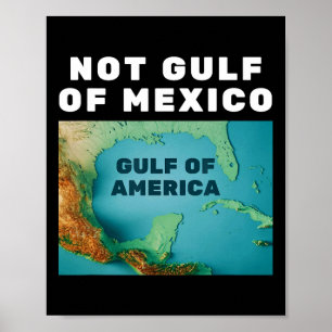 Funny Trump America's Gulf Not Gulf Of Mexico 1  Poster