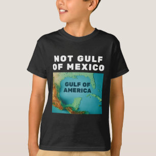 Funny Trump America's Gulf Not Gulf Of Mexico 1 T-Shirt