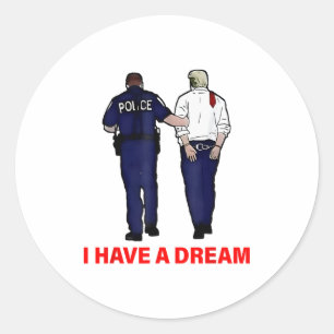 Funny Trump Lice Saying Quote Men Women Classic Round Sticker