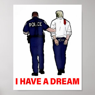 Funny Trump Lice Saying Quote Men Women  Poster