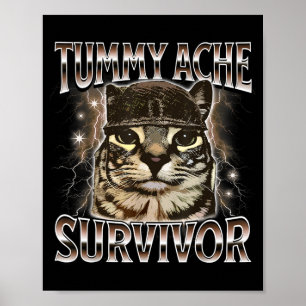 Funny Tummy Ache Survivor Cat Meme Poster
