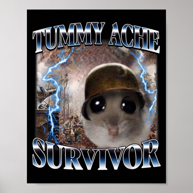 Funny Tummy Ache Survivor Hamster Meme Poster (Front)
