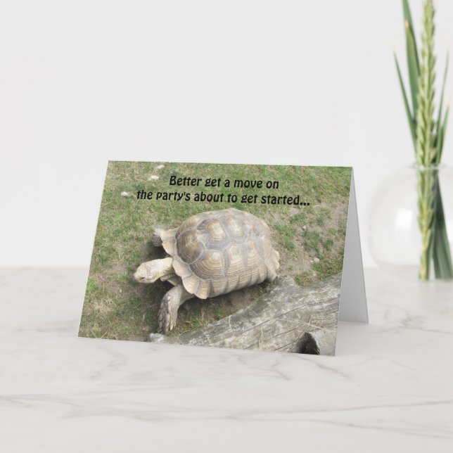 Funny Turtle Birthday Card (Front)