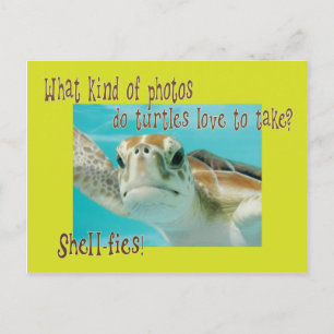 Funny turtle riddle for kids postcard