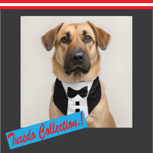 Funny Tuxedo 🎩 Black Tie Formal Luggage Tag