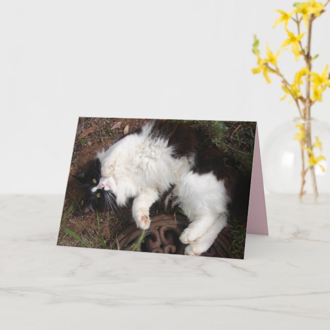 Funny Tuxedo Cat Happy Birthday Greetings Card (Yellow Flower)