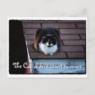 Funny Tuxedo Cat on Roof Moving Announcement Postcard