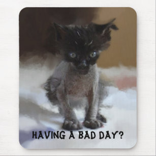 Funny Ugly Kitty Mousepads