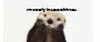 Funny Valentine Day Otter Coffee Mug - 11.50 Funny Valentine Day Otter Coffee Mug