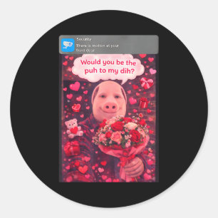 Funny Valentine Gen Z Humor Pork Couple Meme Dihhh Classic Round Sticker