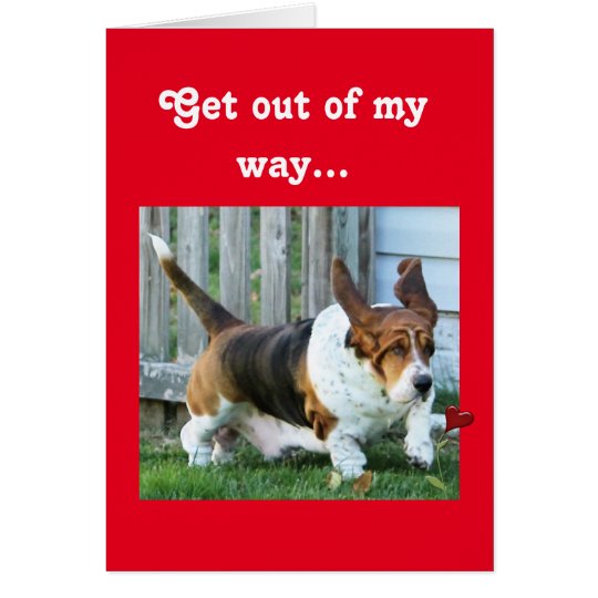 Funny Valentine with Basset Hound and Hearts Card