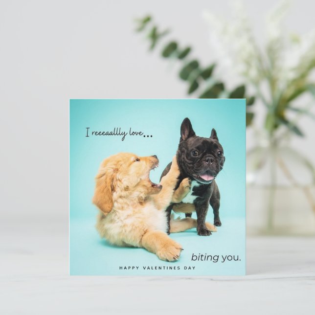 Funny Valentines Day Card - Dog Valentines Card (Standing Front)