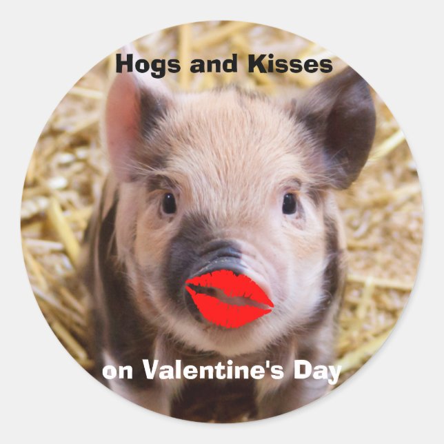 Funny Valentines Day Cute Little Piglet Classic Round Sticker (Front)