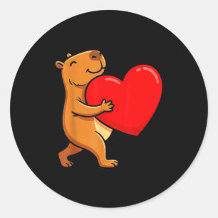 Funny Valentines Day Gifts I Steal Hearts Kids Cap Classic Round Sticker