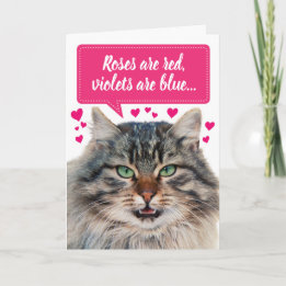Funny Valentine's Day Maine Coon Cat Customisable Card