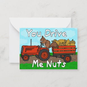 Funny Valentine's Day Squirrel Nuts Pun Kids Class Note Card