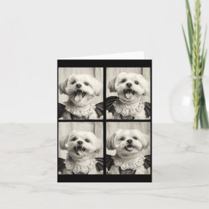 Funny Vampire Maltese Y Cute Dog Halloween Costume Card