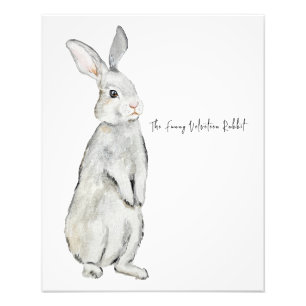 Funny velvet rabbit photo print