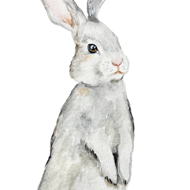 Funny velvet rabbit poster (Creator Uploaded)