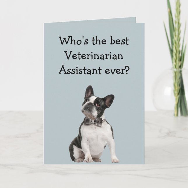 Funny Veterinarian Asst Thank You  Boston Terrier Card (Front)