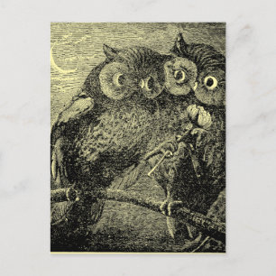 Funny Victorian Era Owls With Flower Valentine Holiday Postcard