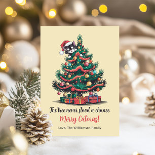 Funny Vintage Cat Christmas Card 