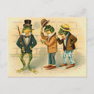 Funny Vintage Frogs Postcard