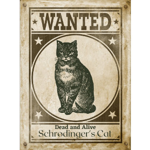 Funny Vintage Schrodinger's Cat Wanted Poster T-Shirt