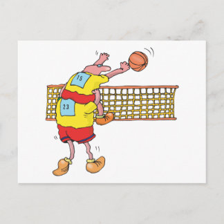 Funny Volleyball Gift Postcard
