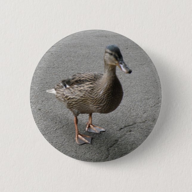 Funny Waddling Duck Button (Front)