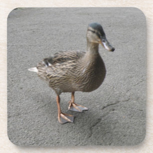 Funny Waddling Duck Cork Coaster