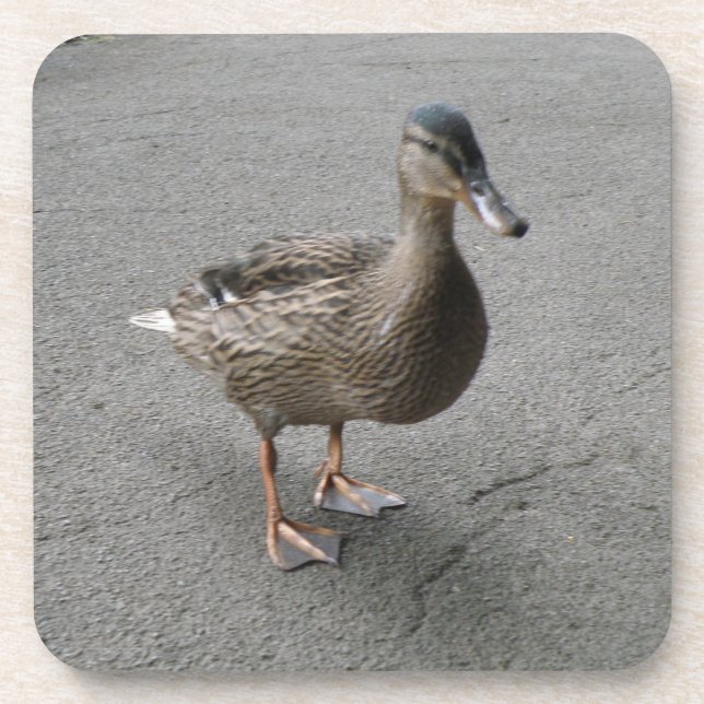Funny Waddling Duck Cork Coaster (Front)