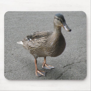 Funny Waddling Duck Mousepad