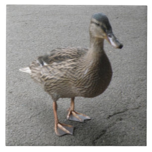 Funny Waddling Duck Tile
