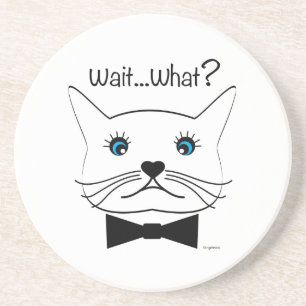 Funny Wait...What? Cross-Eyed Cat, Cool Coaster