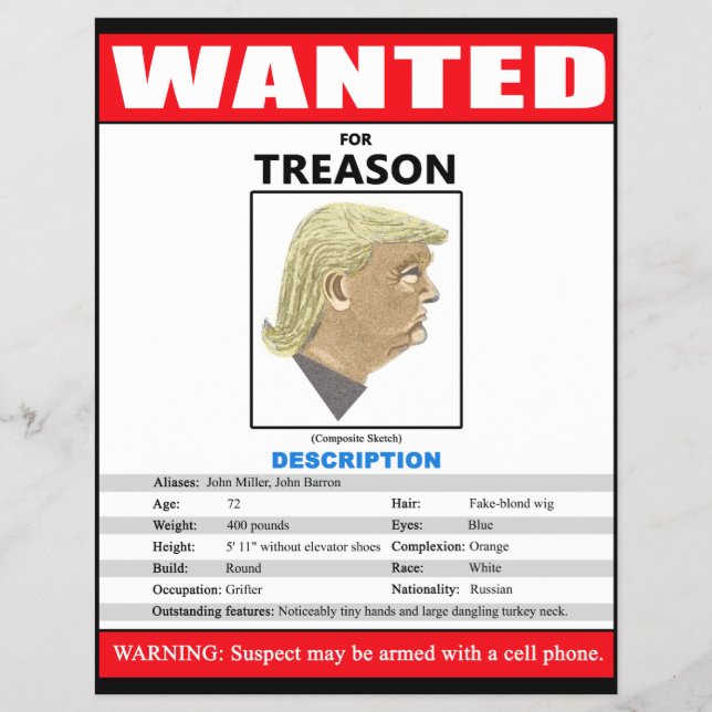 Funny Wanted Trump For Treason Flyer (Front)