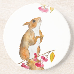 Funny watercolor squirrel on a branch with berries coaster