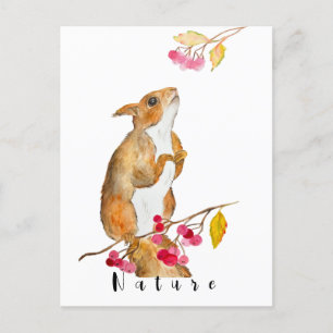 Funny watercolor squirrel on a branch with berries postcard