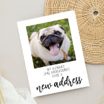 Funny We have Moved New Address Dog Pet Photo Postcard<br><div class="desc">Funny We have Moved New Address Dog Pet Photo Postcard</div>