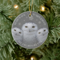 Funny We Know How to Have a Hoot Family Snowy Owls