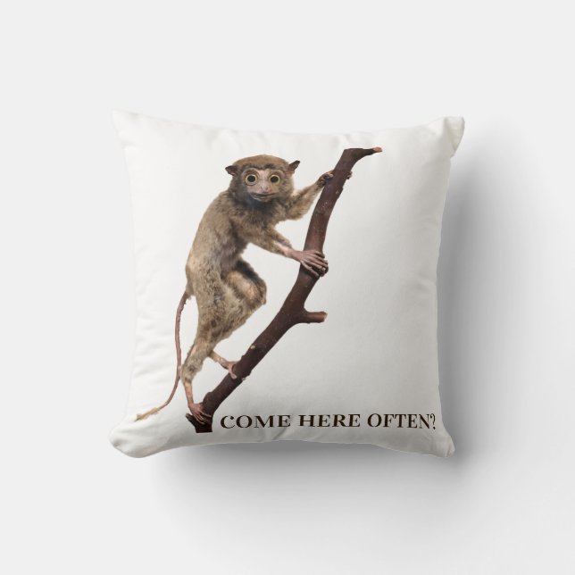 Funny Weird Taxidermy Monkey Lemur | Big Eyes Cushion (Front)
