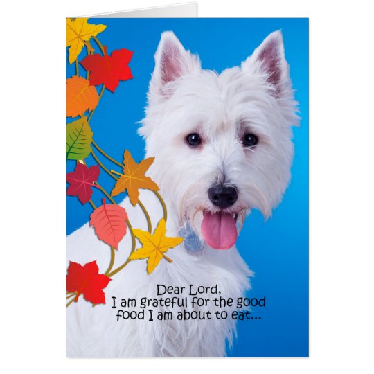 Funny Westie Thanksgiving Card