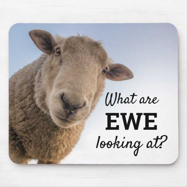Funny What Are Ewe Looking At Sheep Humour Mouse Mat (Front)