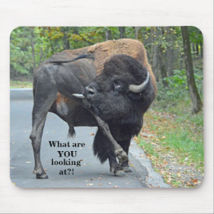 Funny What Are You Looking At? Bull Bison Mouse Mat