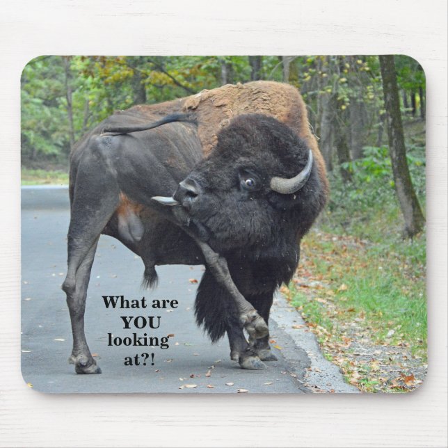 Funny What Are You Looking At? Bull Bison Mouse Mat (Front)